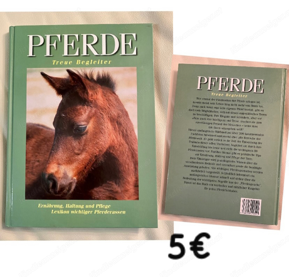 Pferde Buch 