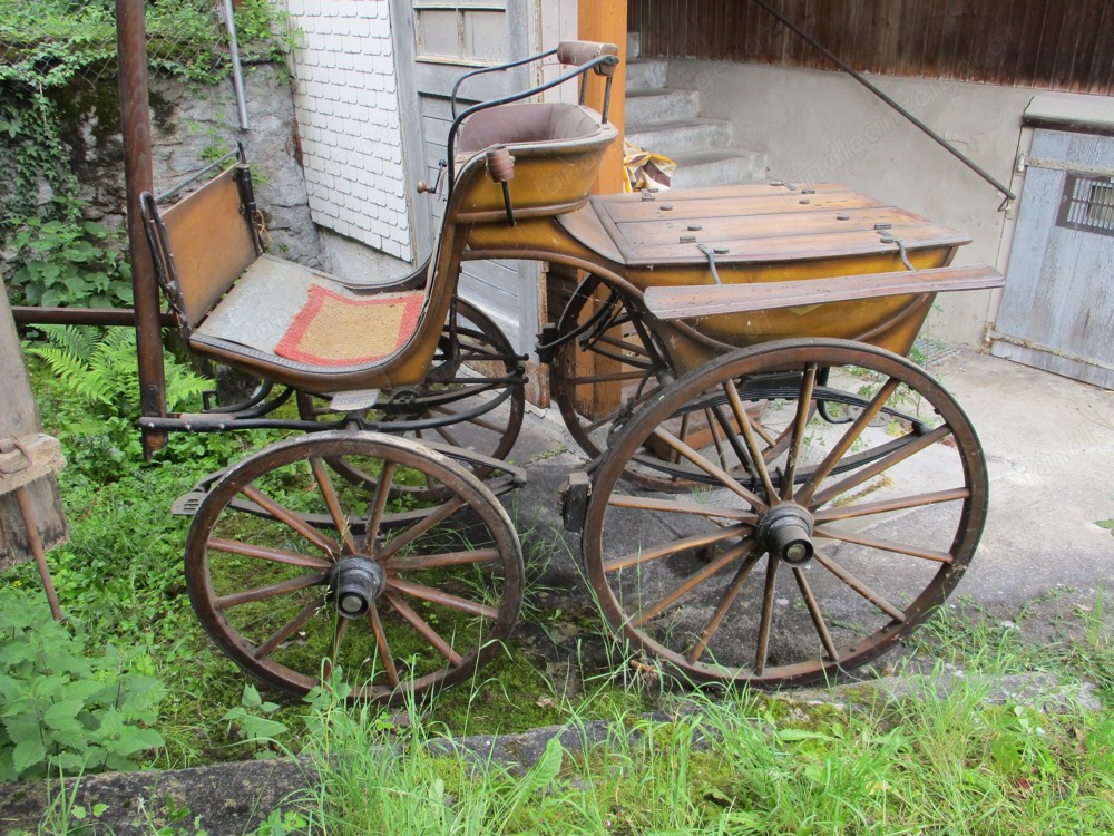  Historische Kutsche Einspänner Sport-Break Pferde-Wagen