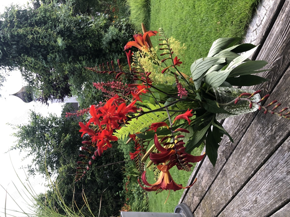 Blumensträuße für alle Anläße Blumensträuße für alle Anläße