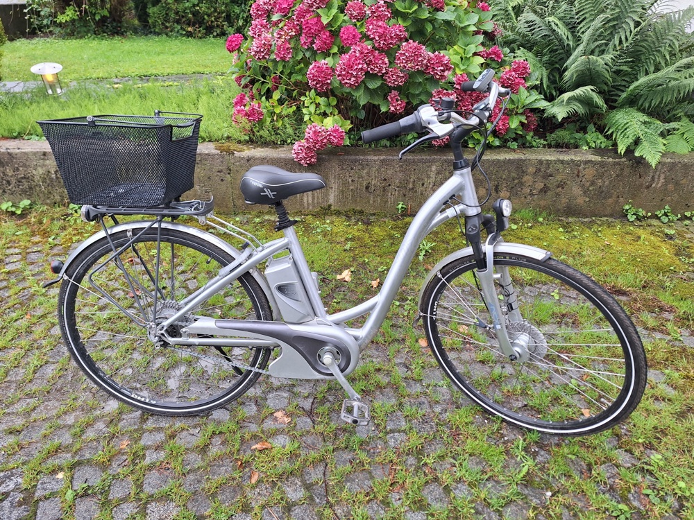 Flyer E Bike 