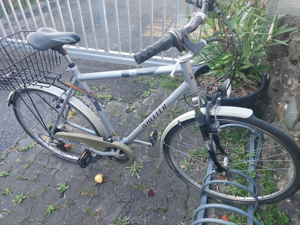 Herrenfahrrad "WHEELER"