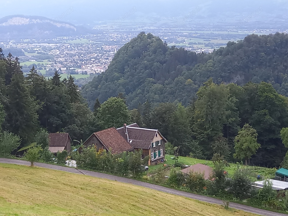 2 1 2 Zimmerwohnung  auf Bauernhof oberhalb von Hohenems, sehr ruhige Lage 