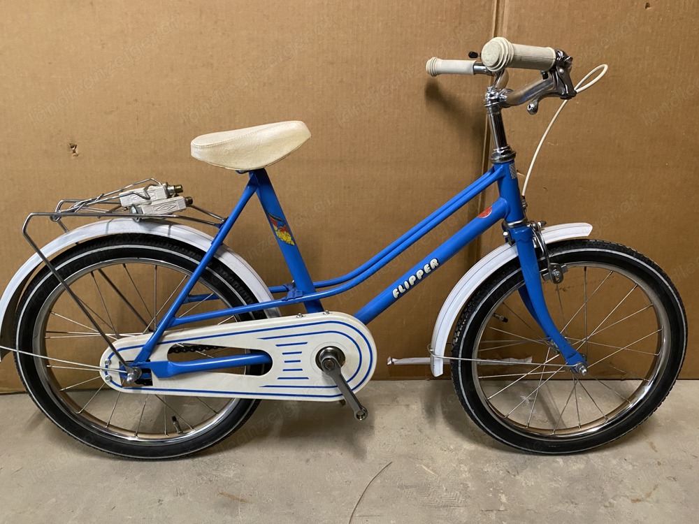 Kinderfahrrad Flipper