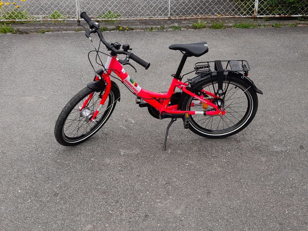 Windora 20" Mädchen Fahrrad Windora 20" Mädchen Fahrrad