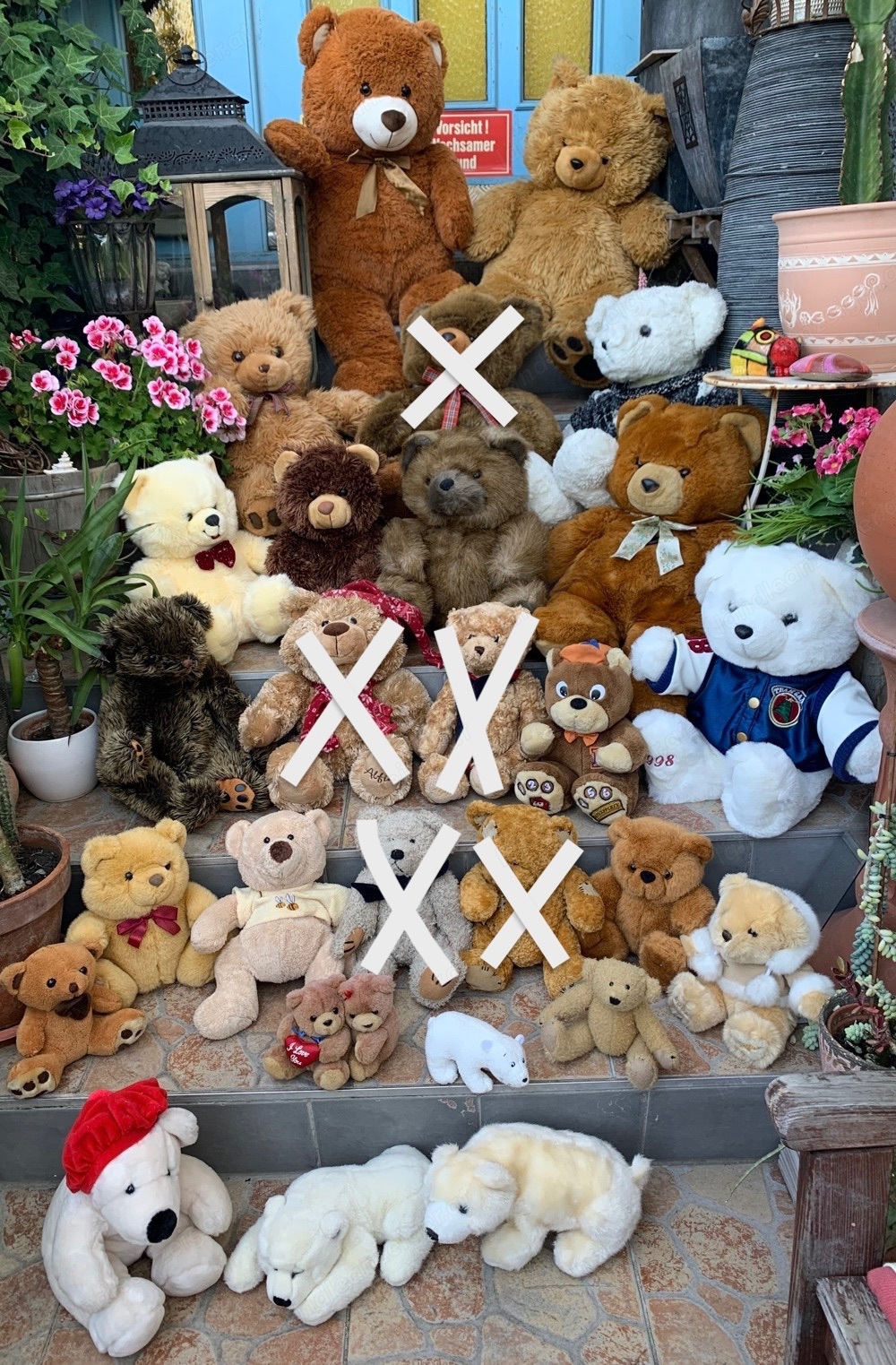 Viele wundervolle Teddy s Teddybär ab 2,80EUR