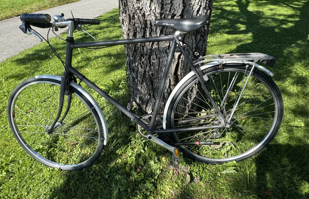 Herren  Citybike Stadtfahrrad