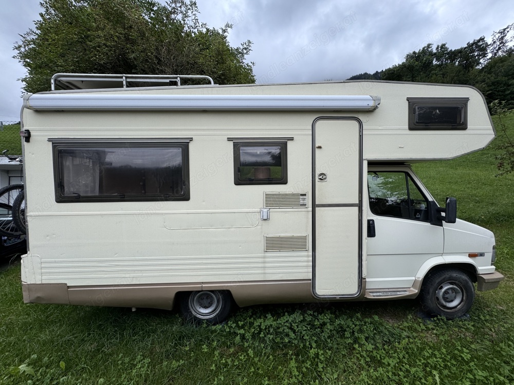Fiat Ducato Globetrotter - super Zustand!