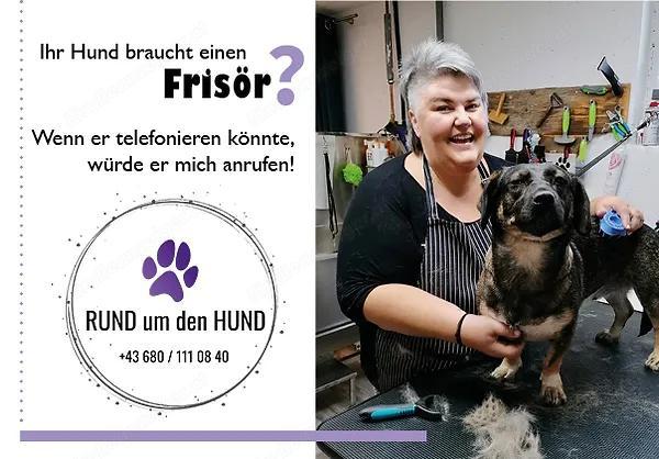 Hundesalon - Rund um den Hund -   ihr Hundefrisör Hundesalon - Rund um den Hund -   ihr Hundefrisör