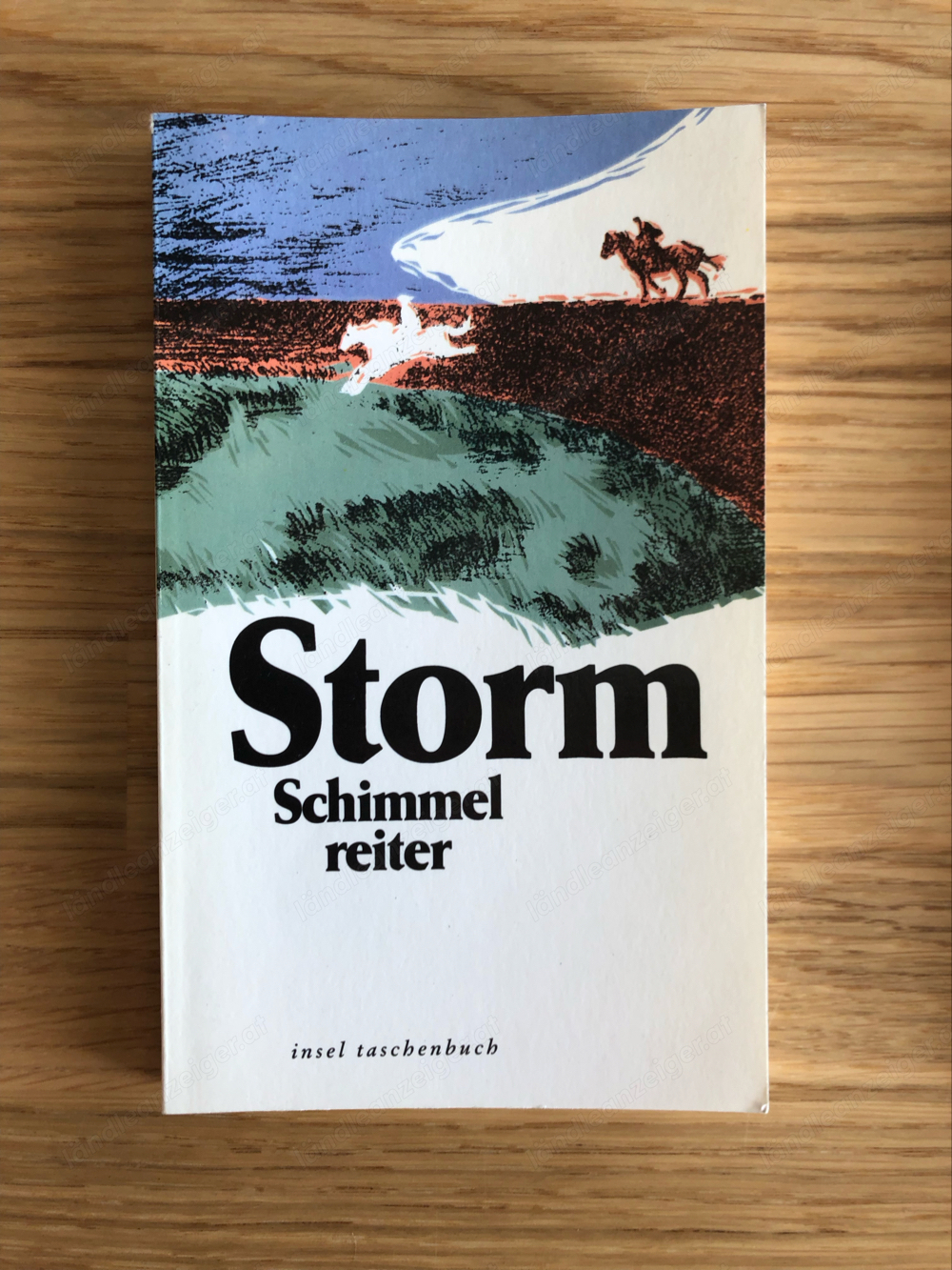 Der Schimmelreiter, Theodor Storm