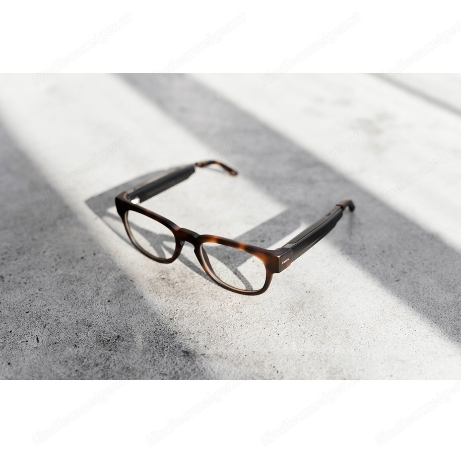 Audiobrille Fauna Memor