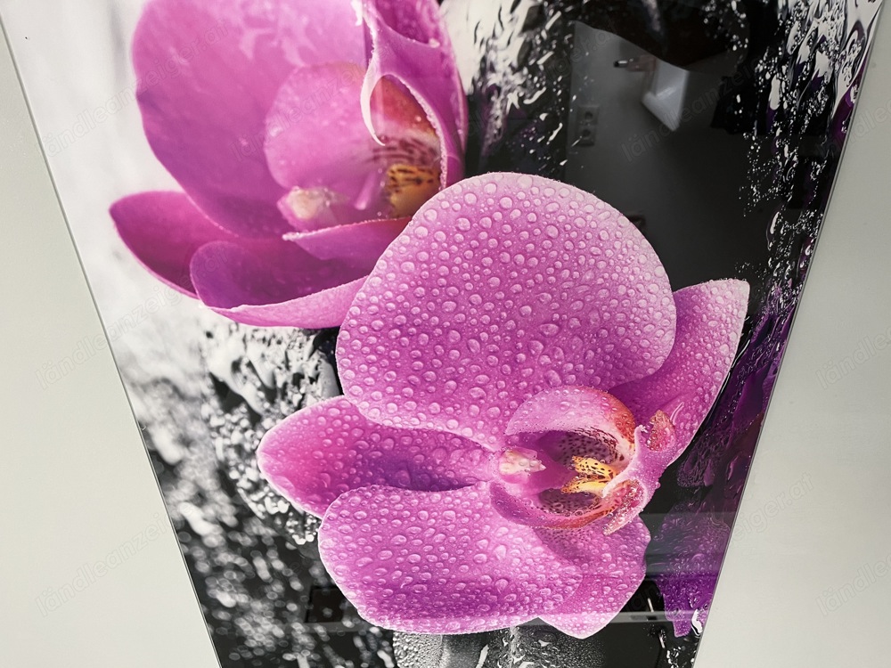 Bild , Wandbild, Glasbild, Orchidee pink , neuwertig 