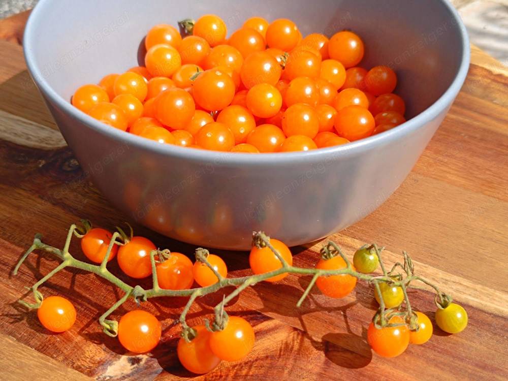 Gelbe Johannisbeere Tomatensamen - Wildtomate mit kleinen süßen Früchten