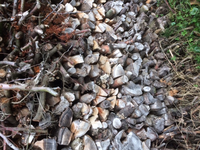 verkaufe Brennholz sehr preiswert , 1 Jahr getrocknet 