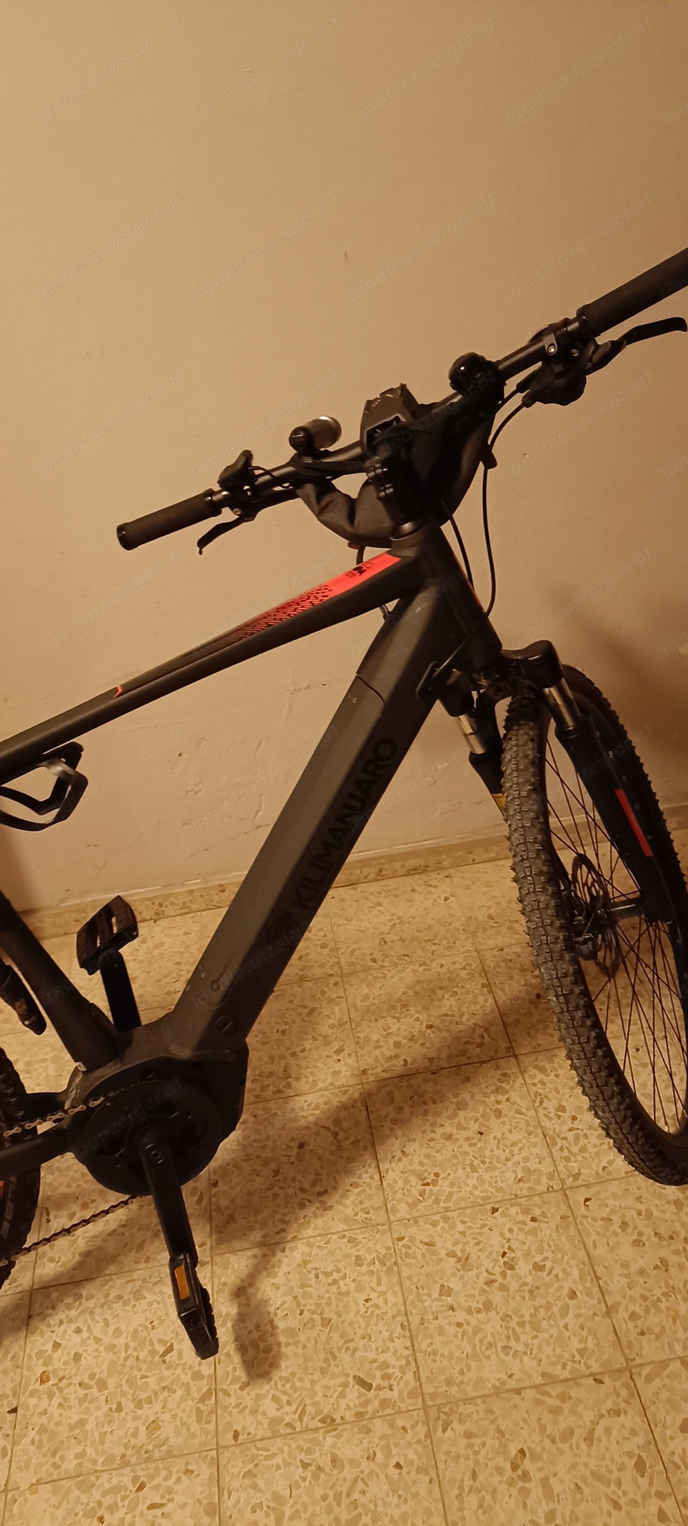 e-bike- Fahrrad