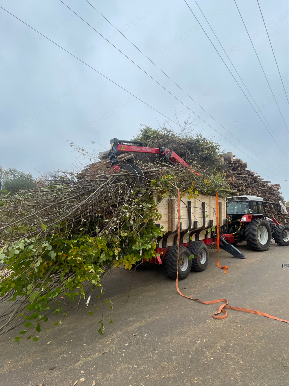 Gartenpflege  Abtransport  Rodungen ect.