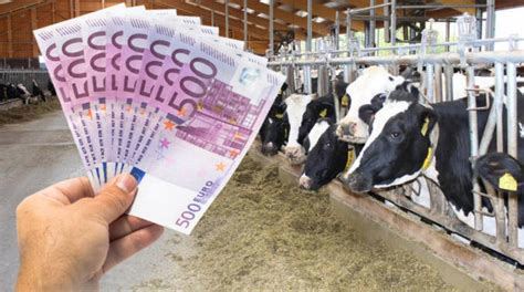 Kreditangebot: Investitionen für Projekte von 10.000   bis 300.000.000    Wir sind eine Institution.