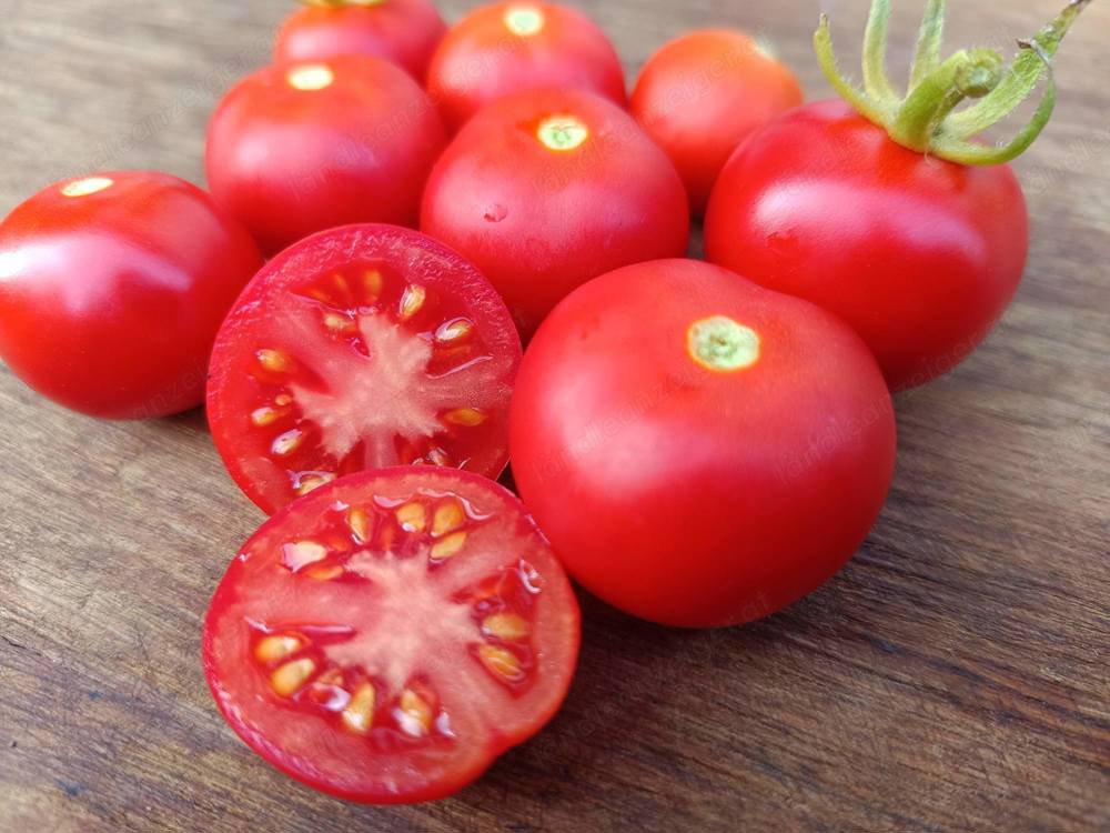 Hellfrucht Tomatensamen - robuste Salattomate mit kräftigem Wuchs