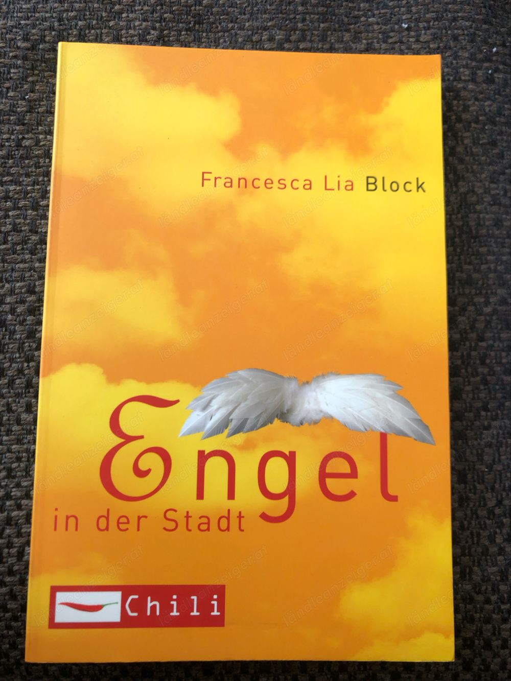 Engel in der Stadt, Francesca Lia Block