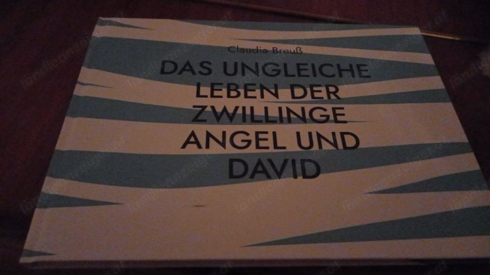 Neues Buch: Das ungleiche Leben der Zwillinge Angel und David