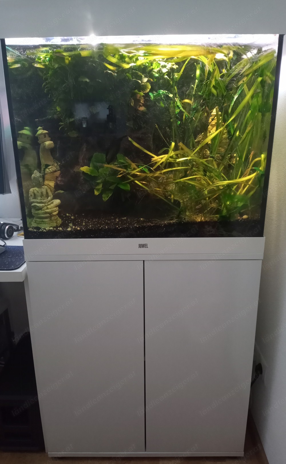 Aquarium Juwel LIDO 200 mit Unterschrank, HeliaLux LEDs und Smart Control