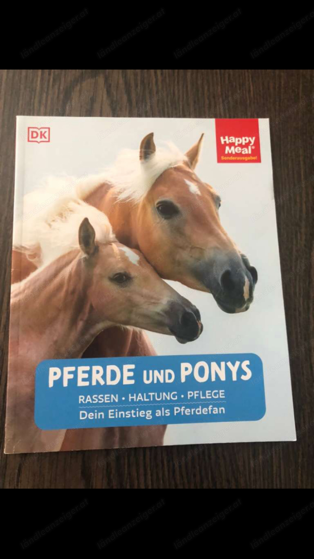 Pferde und Ponys