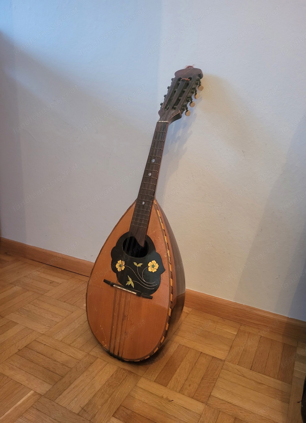 Mandolin 