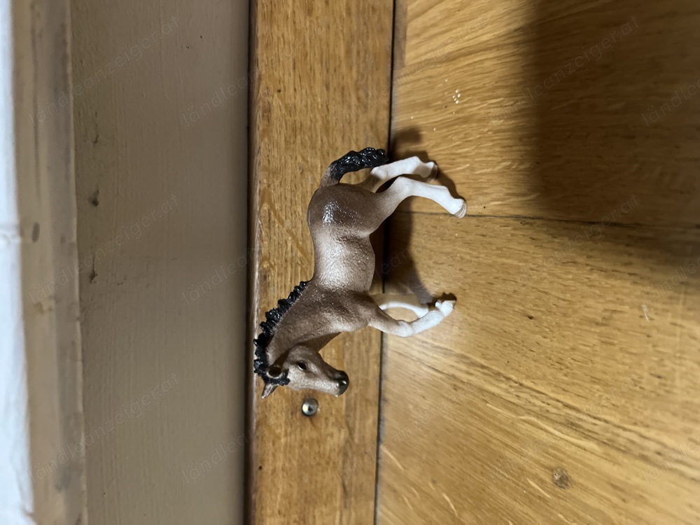 Schleich Fohlen