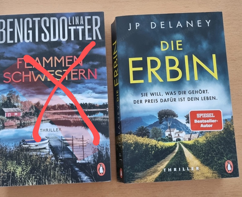 Viele Thriller 2024 Viele Thriller 2024