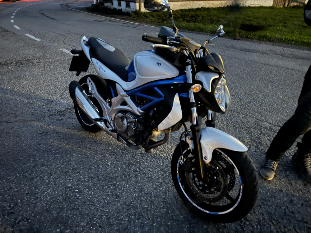 Suzuki SFV 650 Gladius