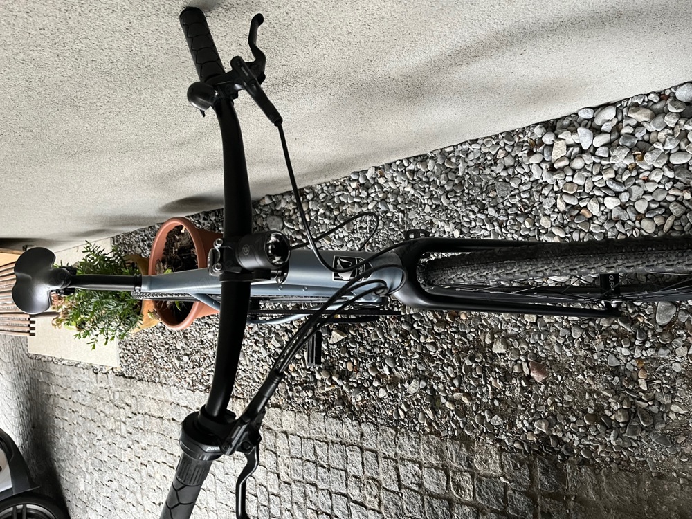 E-Bike Desiknio Pinion 1.6