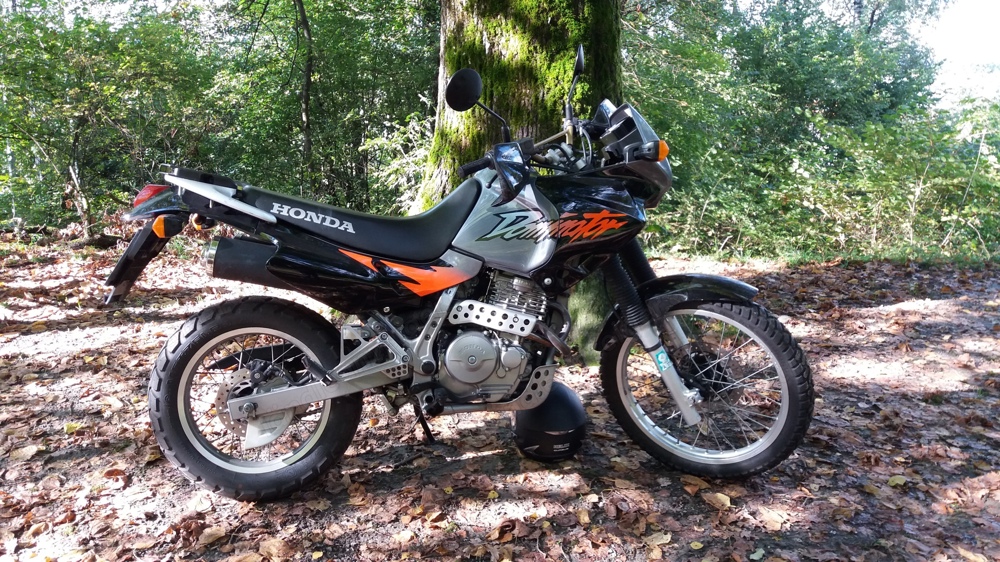 Motorrad Honda NX500 Dominator