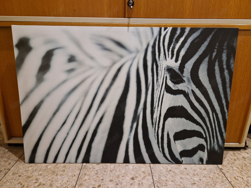 Bild   Leinwand Zebra