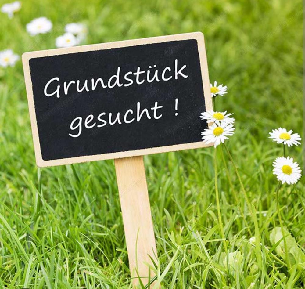 Suchen Grundstück in Mäder!