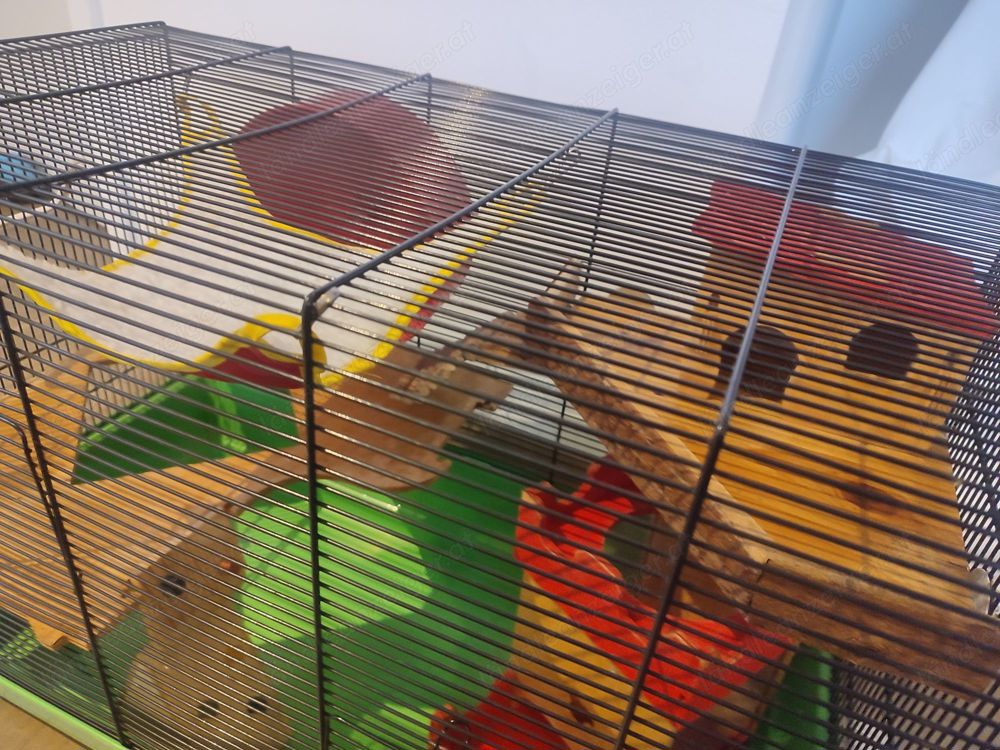 Hamsterkäfig, Nagarium