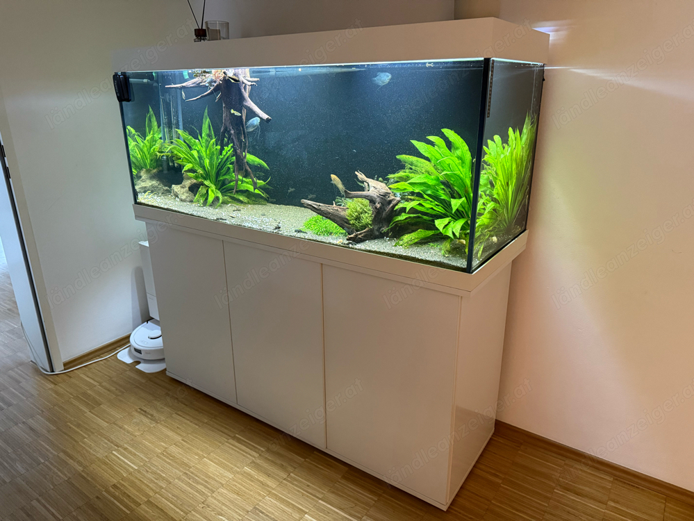 juwel Aquarium