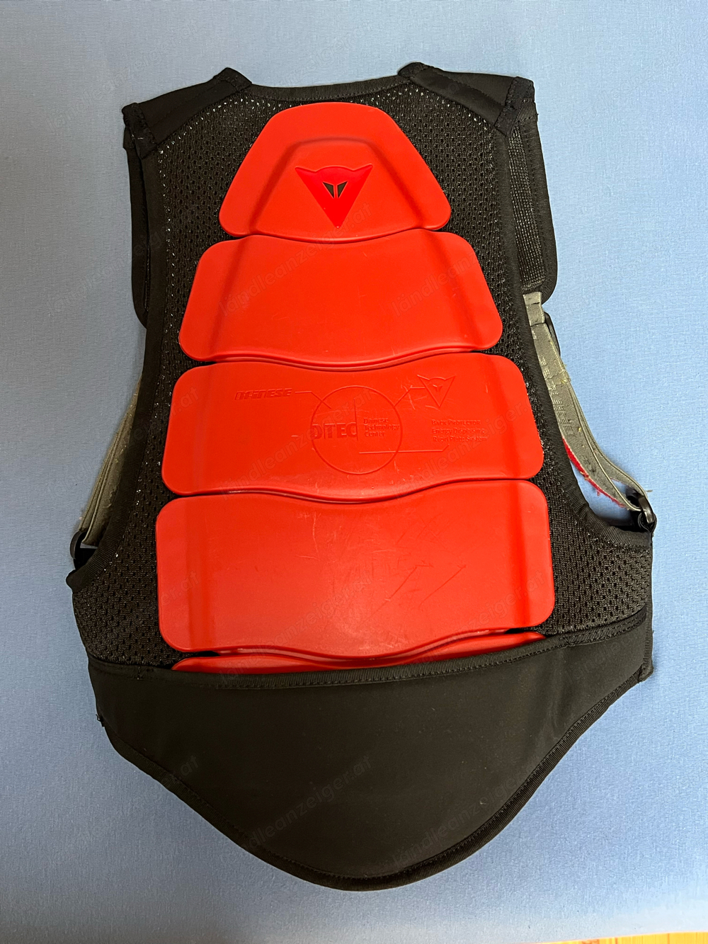 Dainese Rückenprotektor Kinder