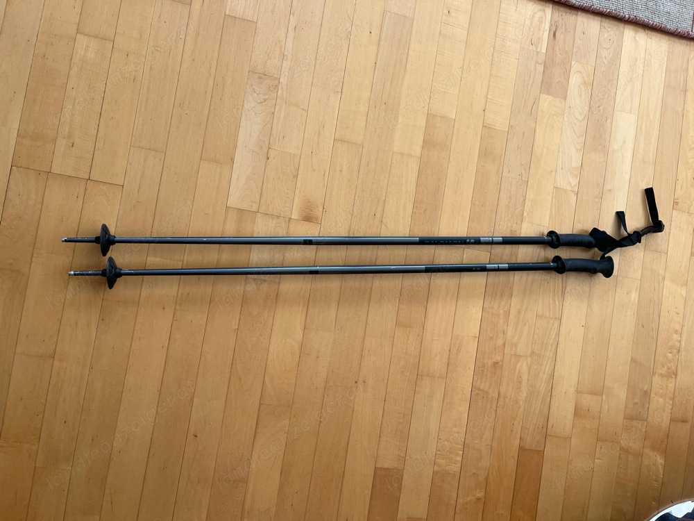 Salomon Skistöcke 110 cm  gebraucht