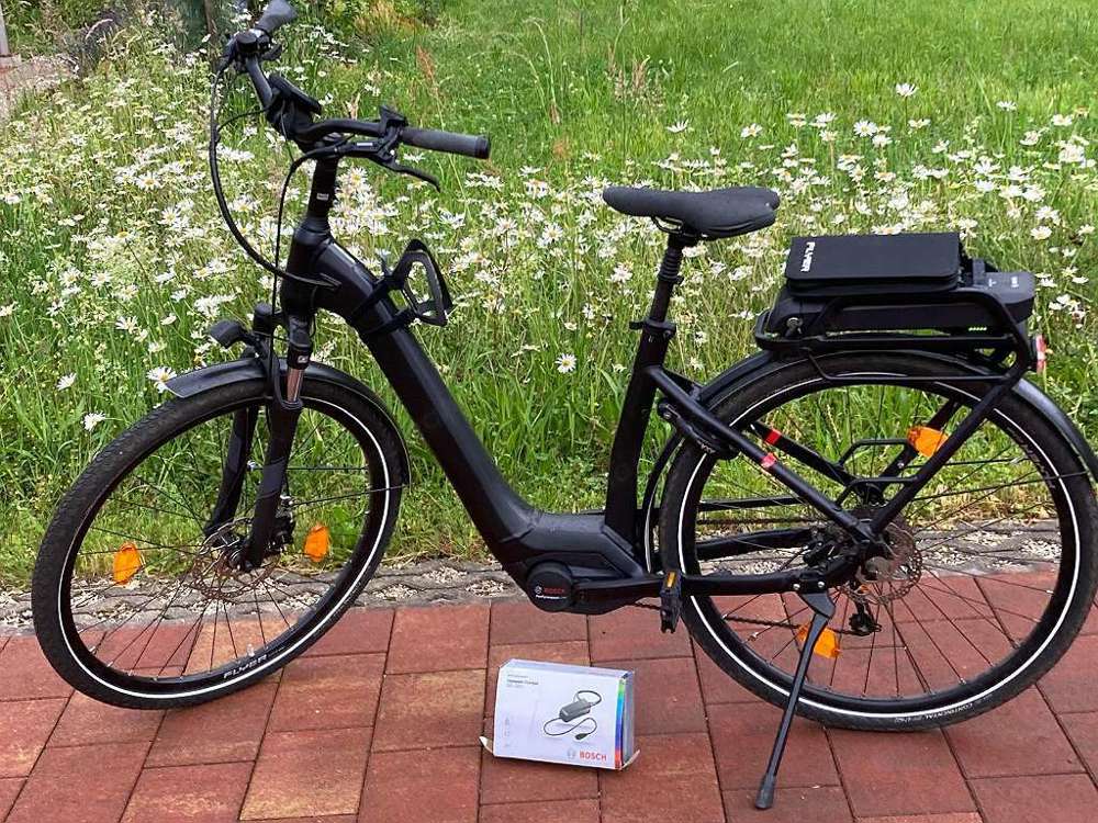 Elektrofahrrad Flyer Tour Urban