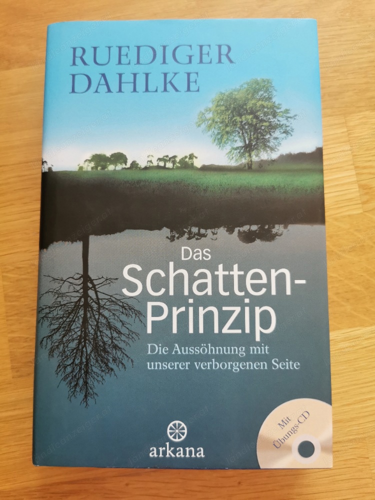 Buch: Rüdiger Dahlke, Das Schattenprinzip