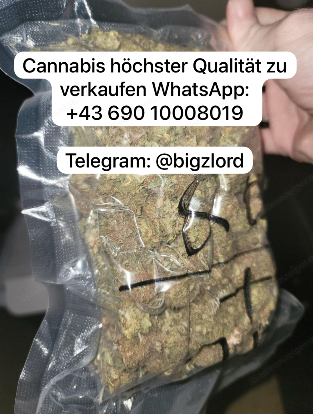 Gras, Weed lieferbar. Hybrid, Sativa, Indica, Qualitäts-Weed zu verkaufen. Siehe Bild