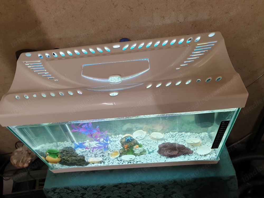 Aquarium 