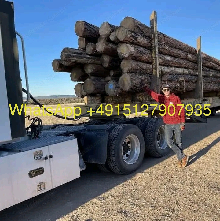 1 Lkw Holz 