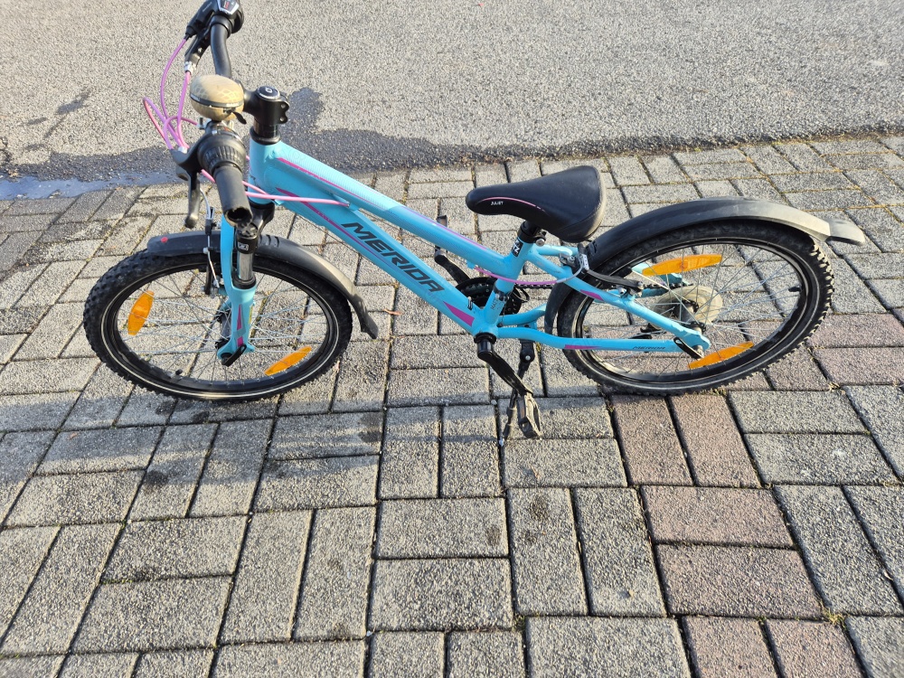 Merida Matts J20 Mädchenfahrrad