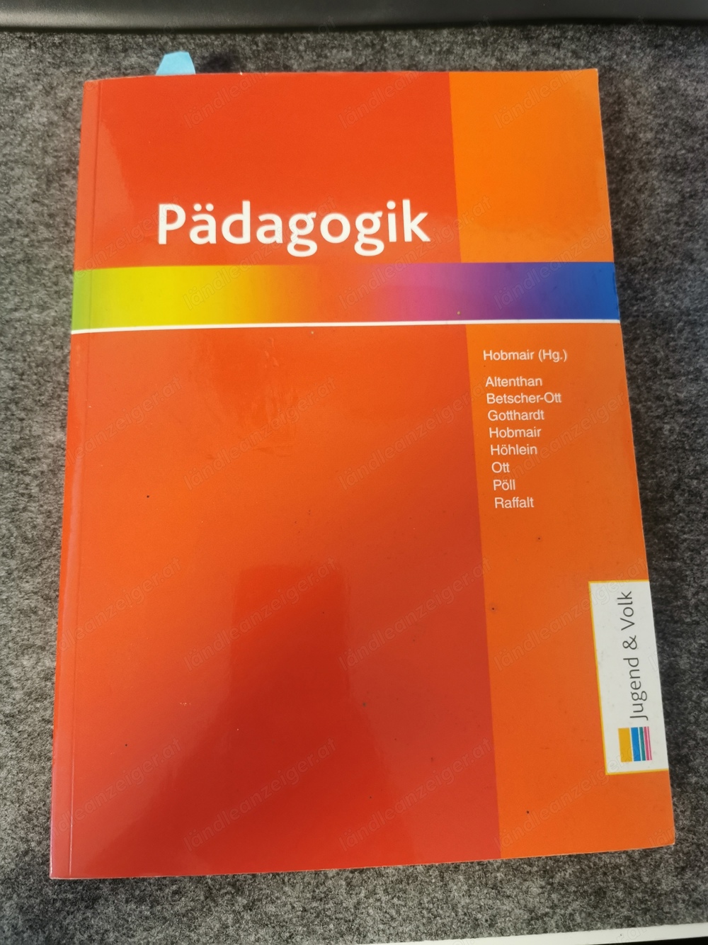 Pädagogik Buch