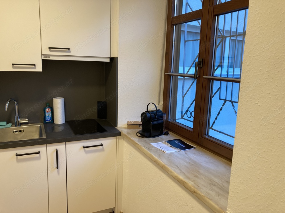 Modernes & zentrales Apartment (Stadt Fk)