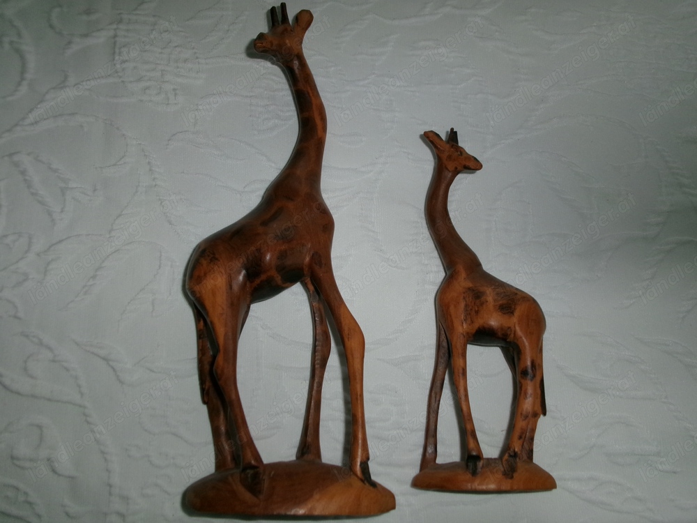 alte afrikanische Giraffen