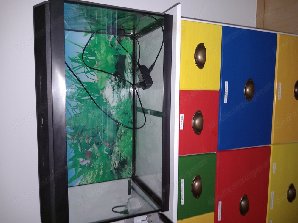 Aquarium " Juwel " 60 l, ACHTUNG neuer Preis!!