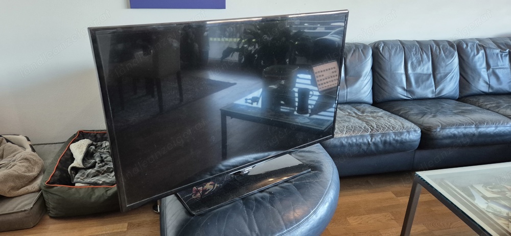 samsung tv,  43 zoll