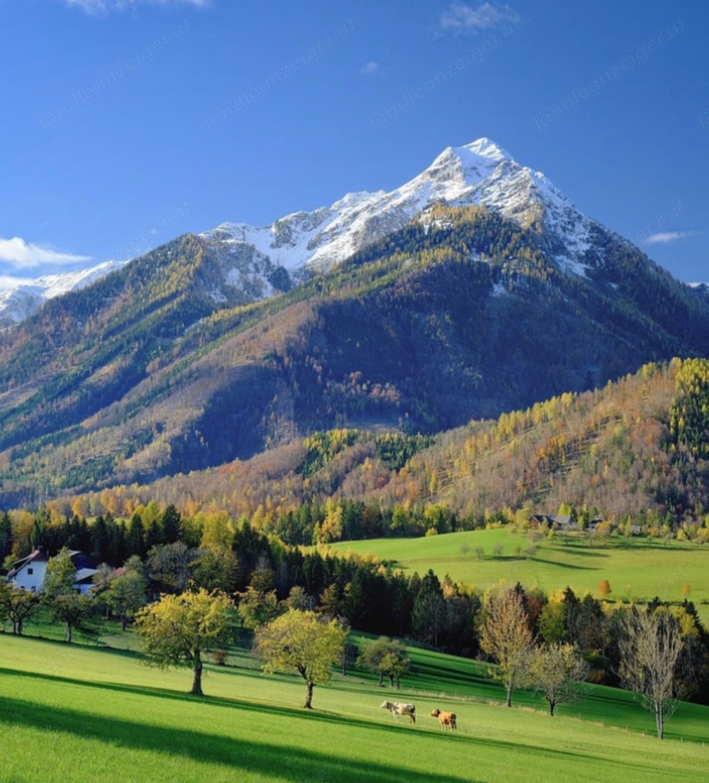 Suchen ein kleines Haus mit Garten oder Wohnung 