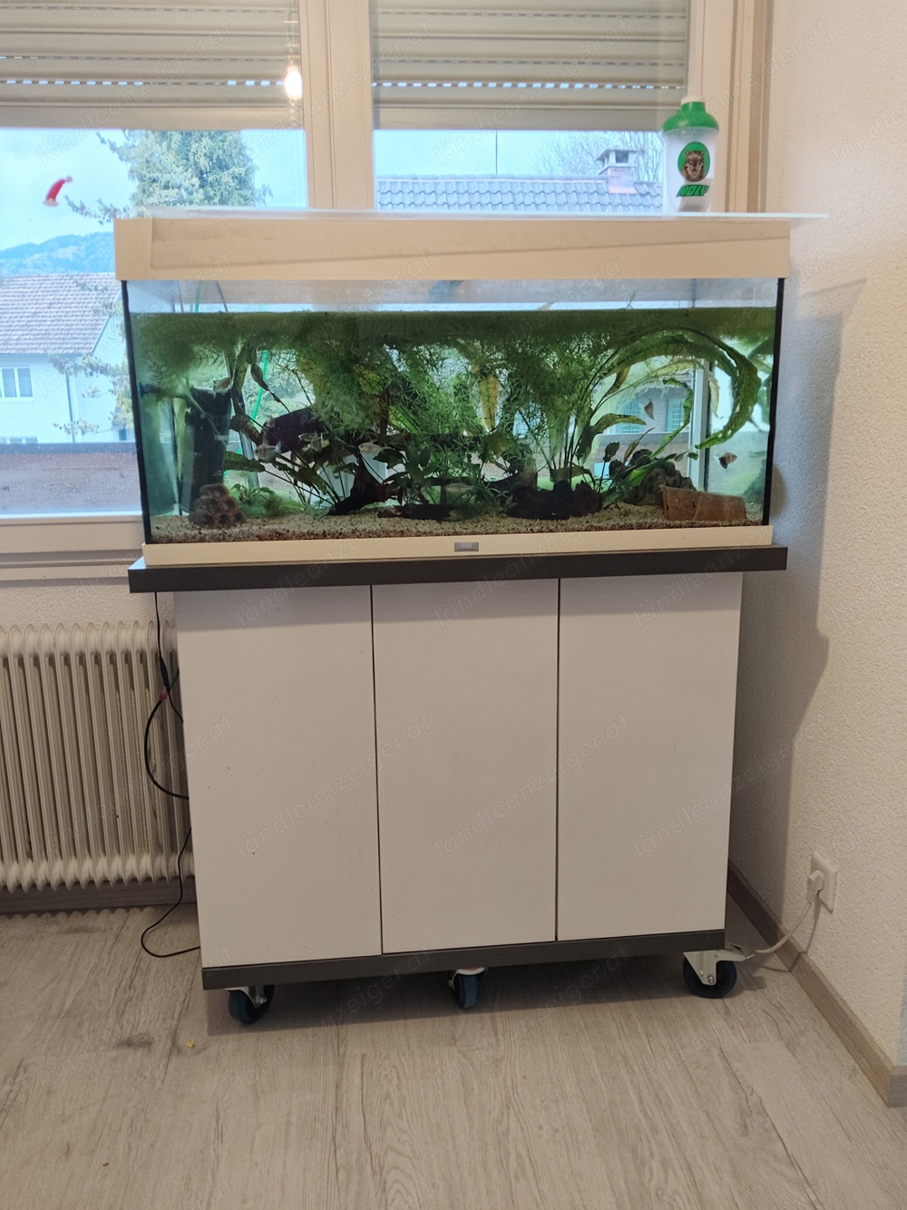 Aquarium mit Extras 